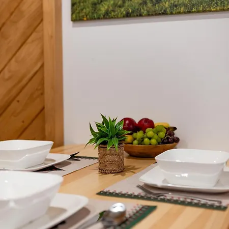 Chycow Potok Apartment Zakopane