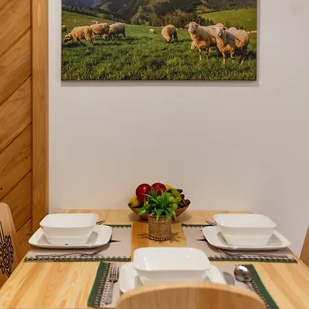 Apartment Chycow Potok Zakopane