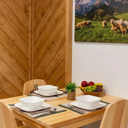 Chycow Potok Apartment Zakopane